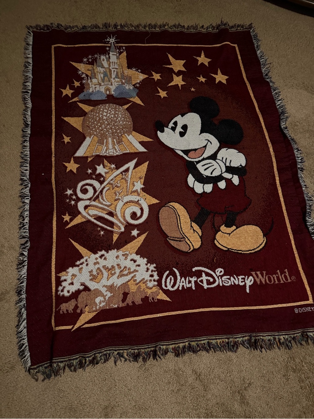 Walt Disney World Tapestry Throw Blanket Fringe